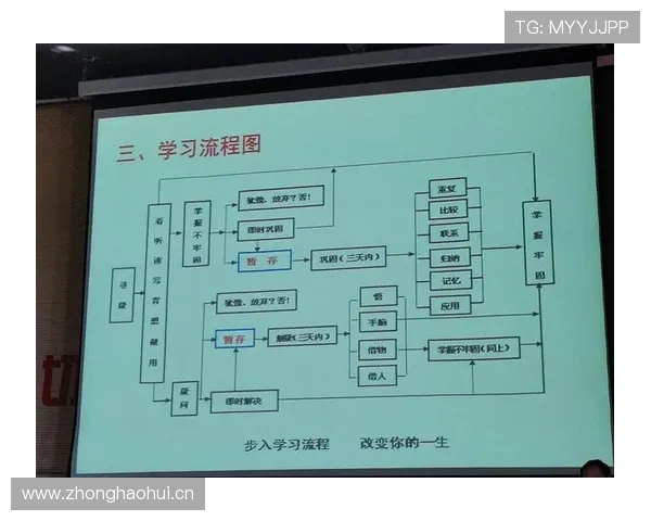 乐鱼官网首页登录入口登录流程优化提升用户体验的实用技巧